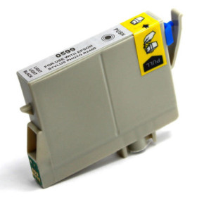 Epson T0969 Light Light Black (C13T096940) — Cartus