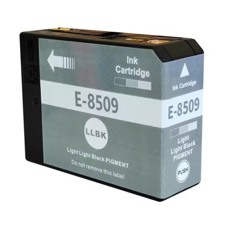 Epson T8509 Light Light Black (C13T850900) — Cartus