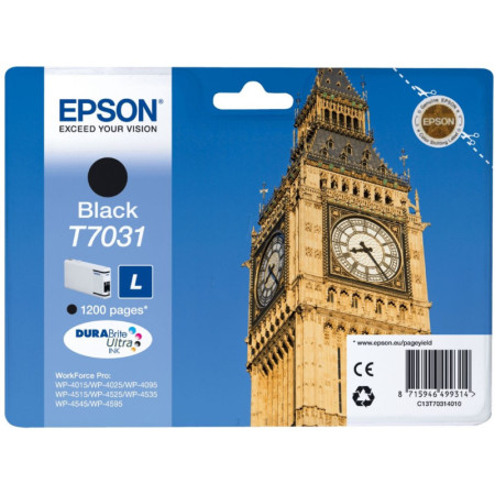 Epson T7031 Black (C13T70314010) — Cartus de cerneala