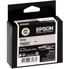 Epson T46S7 Gray (C13T46S700) — Cartus de cerneala
