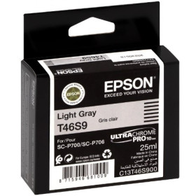 Epson T46S9 Light Gray (C13T46S900) — Cartus de cerneala