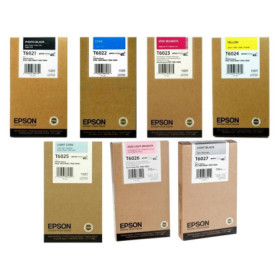 Epson T6029 Light Light Black (C13T602900) — Cartus de