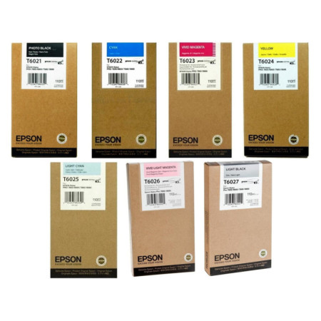 Epson T6029 Light Light Black (C13T602900) — Cartus de