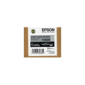 Epson T5809 Light Light Black (C13T580900) — Cartus de