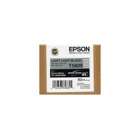 Epson T5809 Light Light Black (C13T580900) — Cartus de
