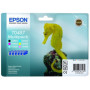 Epson T0487 Multipack (C13T04874010) — Pachet cartuse de