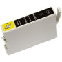Epson T0541 Photo Black (C13T05414010) — Cartus compatibil